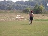 0008.jpg