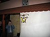 obr 031.jpg