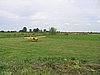 img_1201.jpg