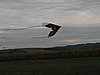 022.jpg