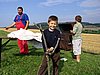 IMG_1520.jpg