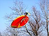 IMG_2301.jpg