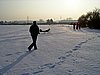 017.jpg